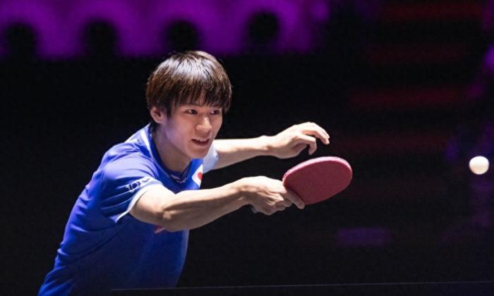 开云体育官网-日乒2大世界冠军出局!张本智和成独苗,国乒欲打破男单3连冠军荒